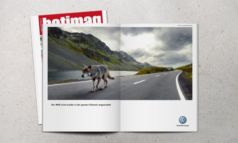 battimag_amarok_strasse_anzeige_2_1