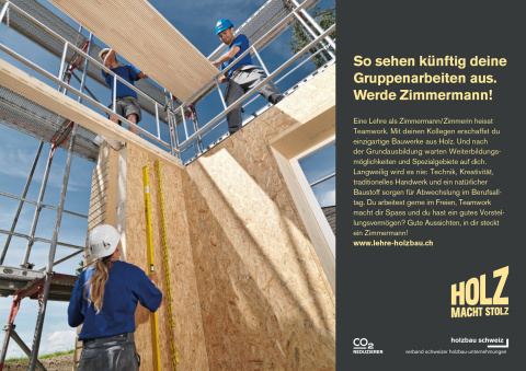 berufswahl_anzeige_2