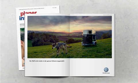 planer_amarok_pferd_anzeige_1_1